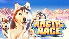 Arctic Race™