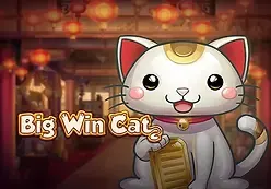 Big Win Cat